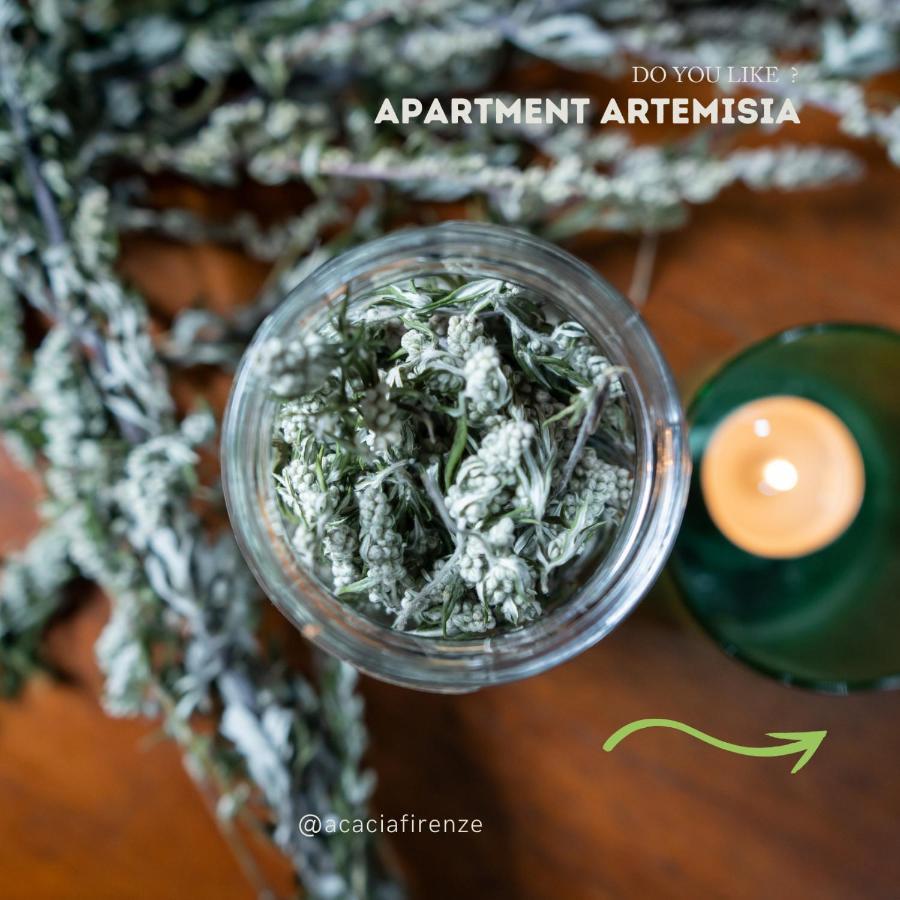Acacia Firenze Apartments Artemisia-Angelica ภายนอก รูปภาพ